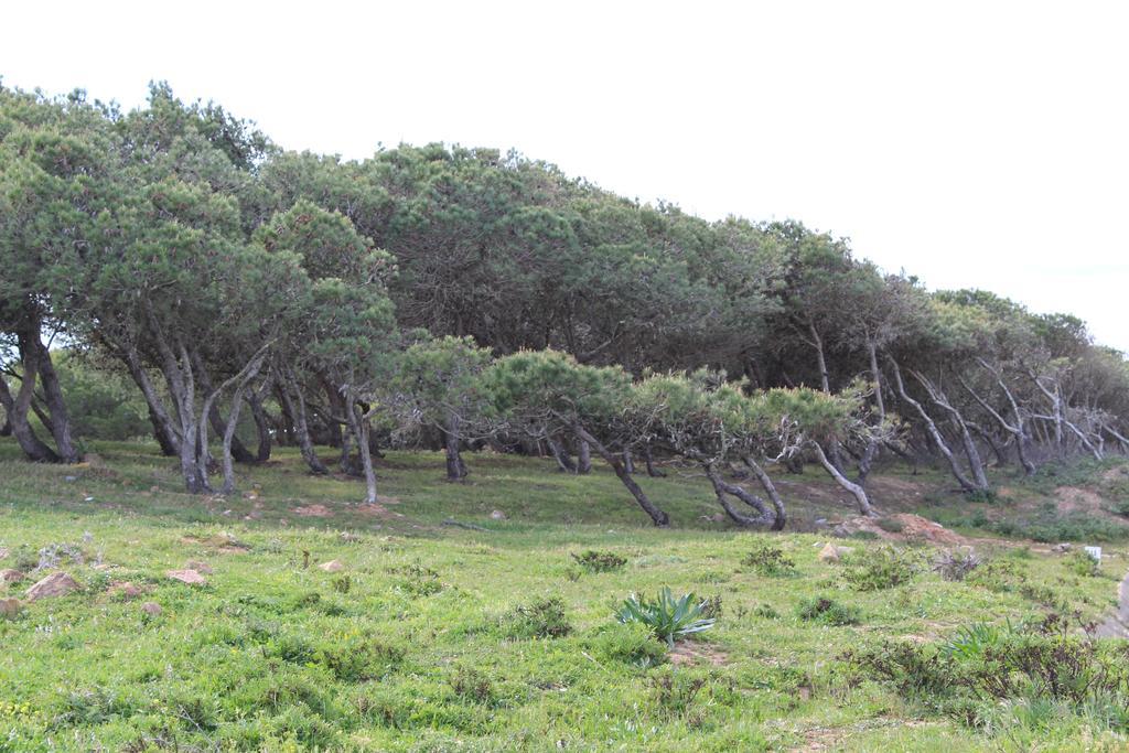 Villa Boa Vista Sul - Terra Da Eira - Raposeira Vila do Bispo Dış mekan fotoğraf